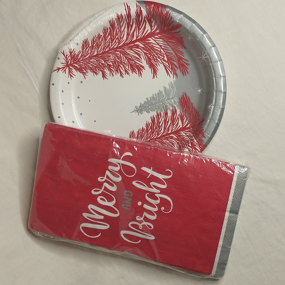 🎄 Winter Wonderland Paper Plate Set